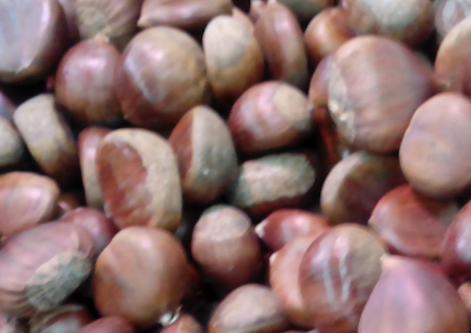 Realizar en otoño mermelada de castañas casera